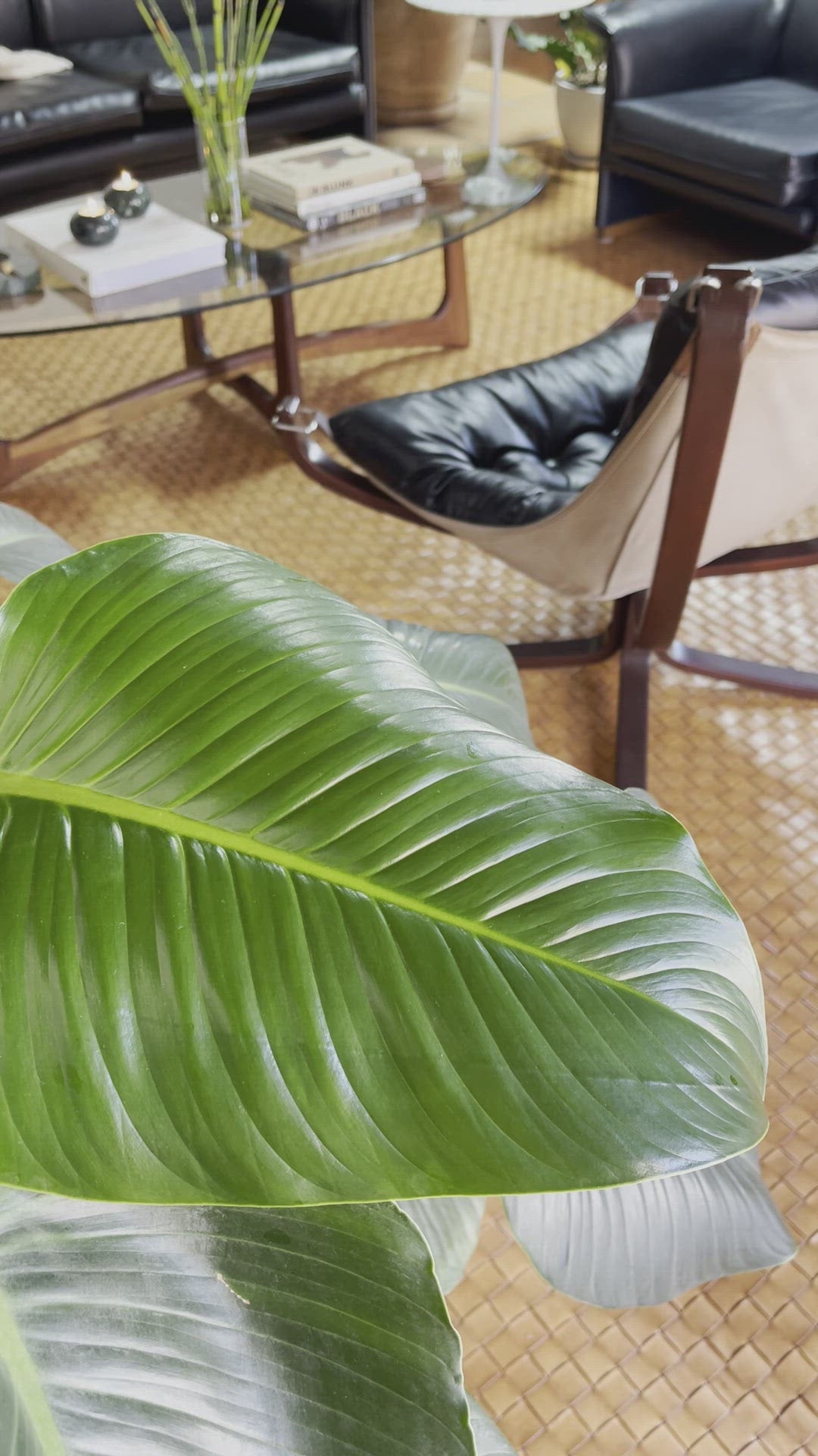 Adrian Pearsall Walnut Ribbon Coffee Table for Craft Associates, 1960s